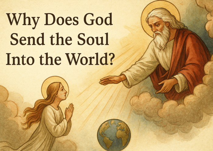 Why Does God Send the Soul Into the World?